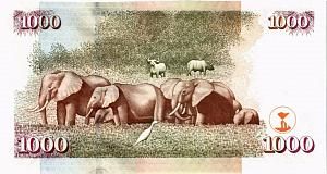 КЕНИЯ 1000 ШИЛЛИНГОВ 2