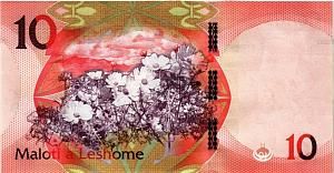 ЛЕСОТО 10 МАЛОТИ 2