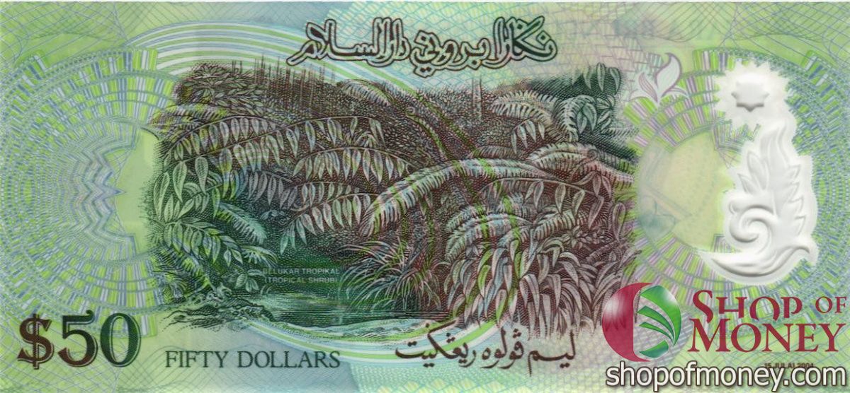 БРУНЕЙ 50 РИНГГИТ 2