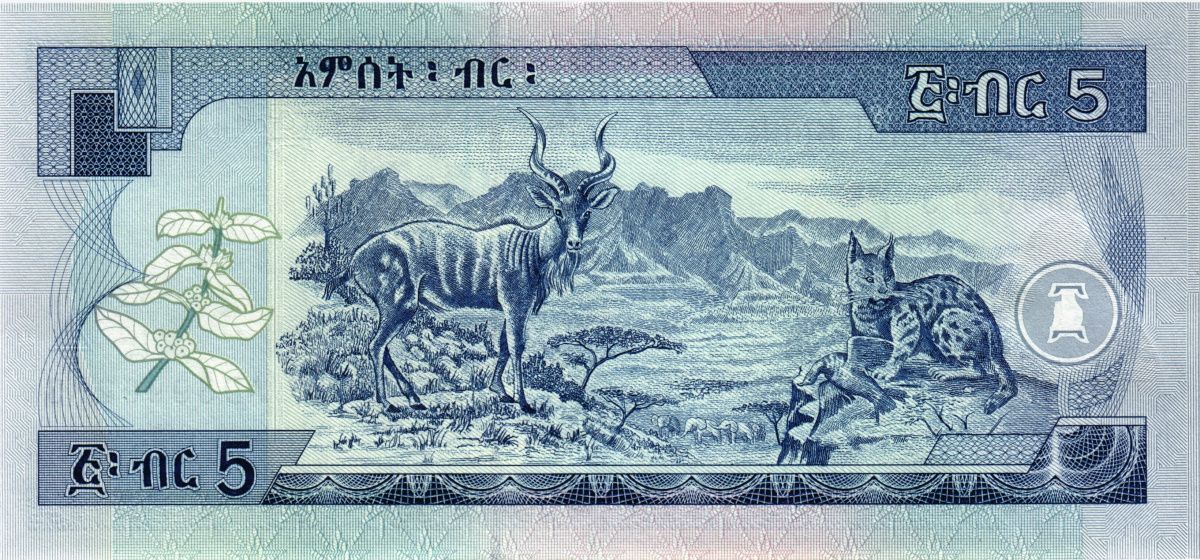 ЭФИОПИЯ 5 БЫР 2