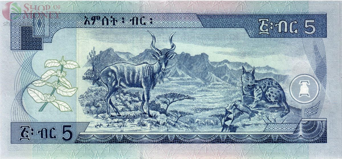 ЭФИОПИЯ 5 БЫР 2