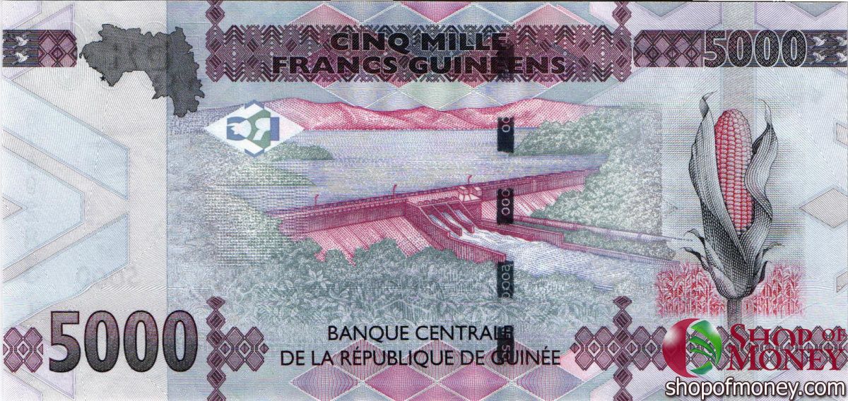 ГВИНЕЯ 5000 ФРАНКОВ 2