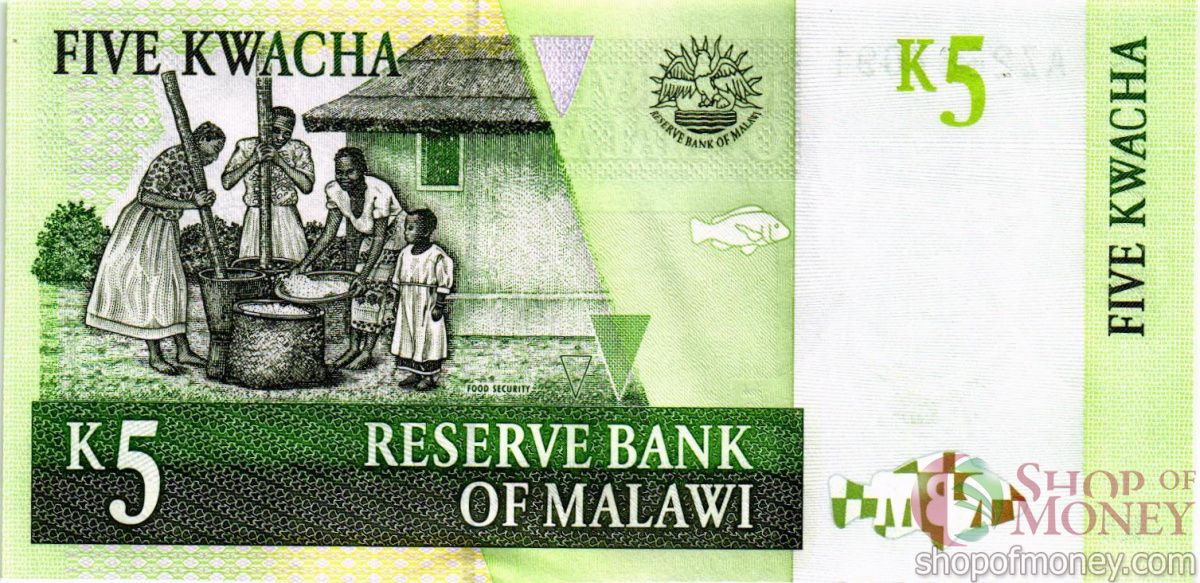 МАЛАВИ 5 КВАЧА 2