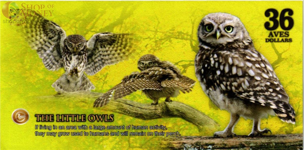 АТЛАНТИЧЕСКИЙ ЛЕС 36 ДОЛЛАРОВ 2